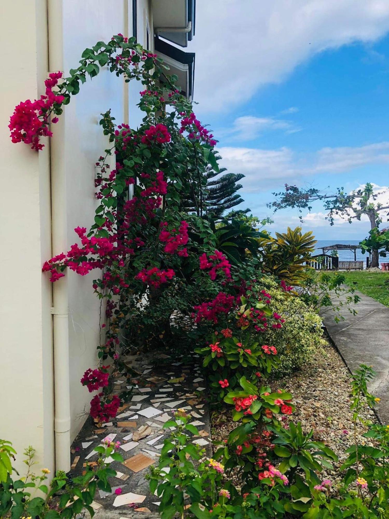 D'S Oceanview Beach Resort Siquijor Extérieur photo