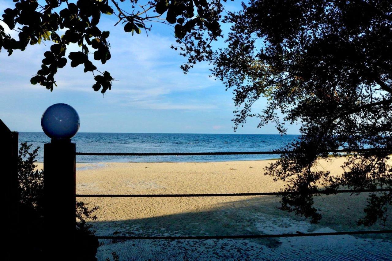 D'S Oceanview Beach Resort Siquijor Extérieur photo