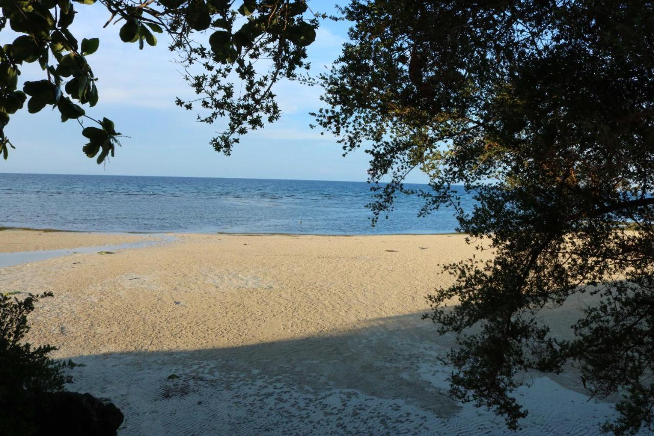 D'S Oceanview Beach Resort Siquijor Extérieur photo